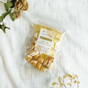 yő1000~N[|IԌzɓ̎船 уnj[LfB[ (݂͂XC~NeB[)