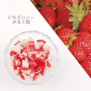 yő1000~N[|IԌzɓ̎船 nj[~N