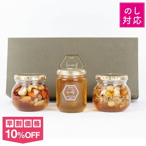 yő1000~N[|IԌzn`~c Mtg ґ3{Zbg 300giԁX̎EibcЂEЂjYI n`~c M pϔ Mtg lΉ