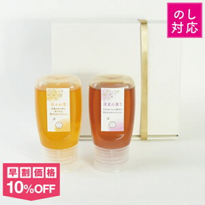 yő1000~N[|IԌz݂͂2{Zbg `[u 300giԁX̎EĂ̌OjYI n`~c M pϔ Mtg lΉ