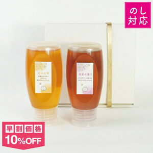 yő1000~N[|IԌz݂͂2{Zbg `[u 500giԁX̎EĂ̌OjYI n`~c M pϔ Mtg lΉ 