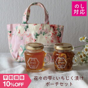 yő1000~N[|IԌzԁX̎Ƃ |[`Zbg 120g 2{Zbg YI Mtg n`~c I