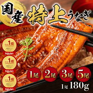 ＼今年初！クーポンで半額★5,360円⇒2,680円~／【楽天ランキング3冠】特大うなぎの蒲焼き 送料無料 長焼…