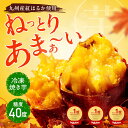 ＼送料無料★選べる数量！／冷凍焼き芋 紅はるか 九州産 無添加 さつまいも サツマイモ 濃厚 1kg〜3kg 激甘 甘党推し …