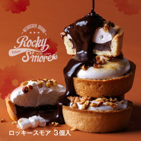 チョコマシュマロ スイーツ 三ツ星やオリジナル ロッキースモア 3個入 冷やしロッキー ホットロッキー マシュマロ キャラメルナッツ 新感覚 ザクザク 洋菓子 プレゼント ギフト チョコレート タルト キャラメル マシュマロ カスタード いちご 抹茶 個包装