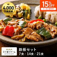 【マラソン限定 15%OFFクーポン】冷凍弁当 お弁当 おかず 鉄板セット（7食/14食/21食） 冷凍食品 一人暮…