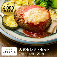 冷凍弁当 お弁当 おかず 人気セレクトセット（7食/14食/21食） 冷凍食品 一人暮らし カロリー 健康 簡単 …