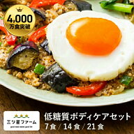 冷凍弁当 お弁当 おかず 低糖質ボディケアセット（7食/14食/21食） 冷凍食品 一人暮らし カロリー 健康 …