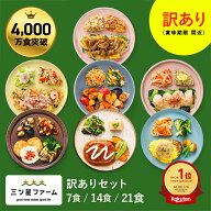冷凍弁当 お弁当 おかず 訳ありセット（7食/14食/21食） 訳あり 冷凍食品 一人暮らし カロリー 健康 簡単…