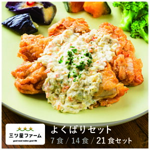 【マラソン限定 全品15%OFFクーポン】冷凍弁当 お弁当 おかず 置き換え よくばり レトルト食品 ギフト 栄養バランス おかず 電子レンジ 簡単 手軽 レトルト 宅食 低カロリー 減塩 低糖質 塩分