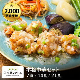 冷凍弁当 お弁当 おかず 本格中華セット（7食/14食/21食）レトルト食品 ギフト 栄養バランス おかず 電子レンジ 簡単 手軽 レトルト 宅食 低カロリー 減塩 低糖質 塩分 レンジ 女性 人気 お弁当 冷凍食品 おかず 一人暮らし お惣菜 弁当 宅配 セット 介護 三ツ星ファーム