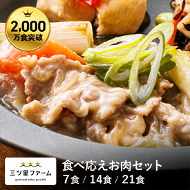 冷凍弁当 お弁当 おかず 食べ応えお肉セット（7食/14食/21食）レトルト食品 ギフト 栄養バランス おかず 電子レンジ 簡単 手軽 レトルト 宅食 低カロリー 減塩 低糖質 塩分 レンジ 女性 人気 お弁当 冷凍食品 おかず 一人暮らし お惣菜 冷凍総菜 弁当 介護 三ツ星ファーム