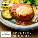 冷凍弁当 お弁当 おかず 人気セレクトセット（7食/14食/21食） 冷凍食品 一人暮らし カロリー 健康 簡単 時短調理 減塩 栄養送料無料 お弁当 冷凍食品 おかず 一人暮らし お惣菜 弁当 宅配 セット ヘルシー 宅配弁当 低糖質 高たんぱく 介護 三ツ星ファーム