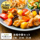 冷凍弁当 お弁当 おかず 本格中華 レトルト食品 ギフト 栄養バランス おかず 電子レンジ 簡単 手軽 レトルト 宅食 低カロリー 減塩 低糖質 塩分 レンジ 女性 人気 お弁当 冷凍食品 おかず 一人暮らし お惣菜 弁当 宅配 セット