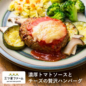 濃厚トマトソースとチーズの贅沢ハンバーグ レトルト食品 ギフト 栄養バランス おかず 電子レンジ 簡単 手軽 レトルト 宅食 低カロリー 減塩 野菜不足 低糖質 塩分 レンジ 女性 人気 お弁当 冷凍食品 おかず 一人暮らし お惣菜 冷凍総菜 弁当 宅配