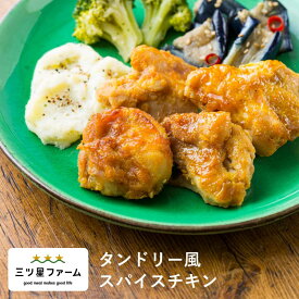 タンドリー風スパイスチキン レトルト食品 ギフト 栄養バランス おかず 電子レンジ 簡単 手軽 レトルト 宅食 低カロリー 減塩 野菜不足 低糖質 塩分 レンジ 女性 人気 お弁当 冷凍食品 おかず 一人暮らし お惣菜 冷凍総菜 弁当 宅配