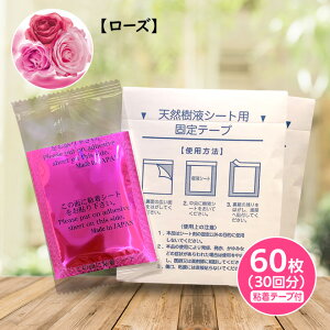  tV[g y[Y/60z { [  V[g ؐ| || bNX ނ ₦ VRA RR hV̓ ̓