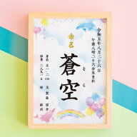 命名書【イルカ】命名紙 命名 額付き A4サイズ お七夜 出産祝い 出産 ベビー オーダー オリジナル 命名 …