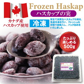 【公式】カナダ産 冷凍ハスカップの実 500g：良質なハスカップを急速冷凍 カナダ よいとまけ ハスカップ 冷凍 フルーツ ジャム ソース ジュース アントシアニン お土産 おやつ お取り寄せ 三星 みつぼし 苫小牧 ハスカップの実 老舗 プレゼント