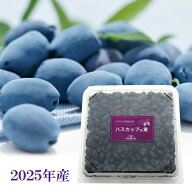 【公式】【北海道美唄産】冷凍ハスカップの実（500g）北海道 よいとまけ ハスカップ 三星 みつぼし 冷凍 …