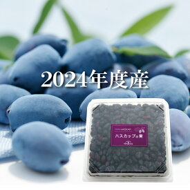 【公式】【北海道美唄産】冷凍ハスカップの実（500g）北海道 よいとまけ ハスカップ 三星 みつぼし 冷凍 フルーツ ジャム ソース ジュース アントシアニン お土産 お菓子 おやつ お取り寄せ 苫小牧 美唄市 ハスカップの実 酸味 老舗 プレゼント 喜ばれる 法人