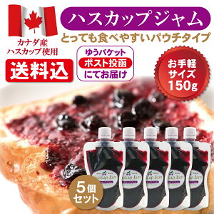  nXJbvW 150gy5Zbgz pE`^Cv@nXJbv̎ՂI kC nXJbv W \[X gbsO t[c\[X WY َq  