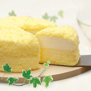 yzw̃`[YP[L@XC[gt}[Wi12cmjkC  yY v[g j Mtg  lC  Ε Ϗq fU[g XC[c  炩 P[