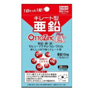 IbgWNvXEX 20 1 CNg[@7,000~(ō)ȏエőiEzȂj