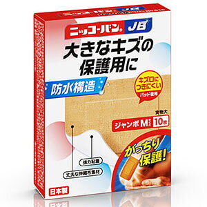 yË@zjbR[oJB No.516 W{ MTCY 10 1 Ai 7,000~(ō)ȏエőiEzȂj