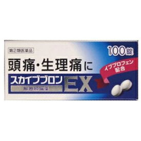 楽天市場 イブプロフェン 100錠の通販