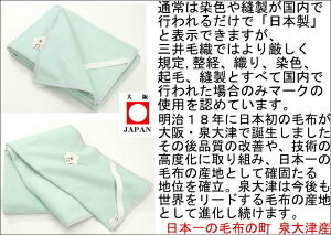 炩  ~ Ȗѕz _uO 140x210cm @OѐD@Y  C3728