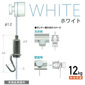 CeAG݃sN`[[pR^C[݃C[zCg100cm [J[ H|