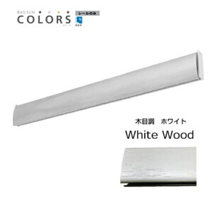 sN`[[AtbNAC[AǁA΍p{[hAsN`[[ ΍p{[hp@RAILSUN COLORS ؖڒzCg@[65cm(RC65-1)[J[ H|