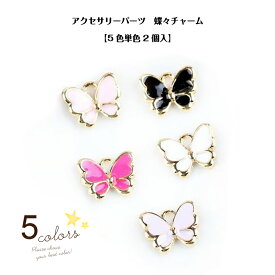 楽天市場 アクセサリー パーツ チャームの通販