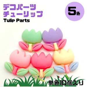 `[bv10y 5Fz fRp[c@͂ fRp[c@@`[bv@ iPhoneP[X̏  ANZT[  p[c \tp[c X^[`[ nhCh  X