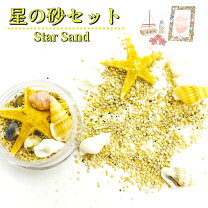 楽天市場】星の砂 貝殻の通販