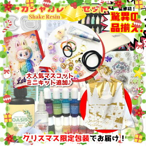 ؁@ANZTWLbg@VFCJ[WLbg@y zpICt@ 낢Lbg@100gWgp@fGȍi쐬@WLbg X^[^[Lb