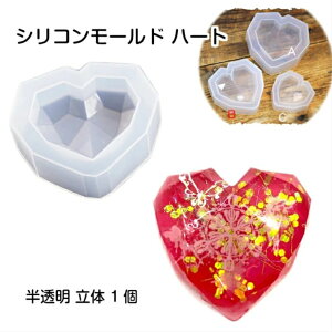 VR[h n[g  y//3TCY 1z 3D ̃n[g ISiCg p[Abv CeA@蕨 Ntg W  ANZT[ ANZT[ | y 