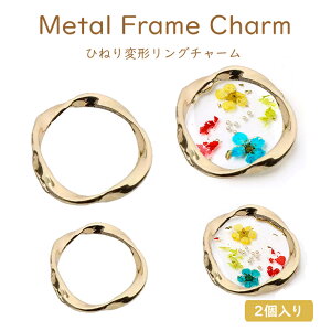 Ђ˂ό`O`[ @2TCY 21mm 17mm ye2zt[@O`[@CO`[@y_g`[ G{X O`[@S[h Jt 䂪 sK