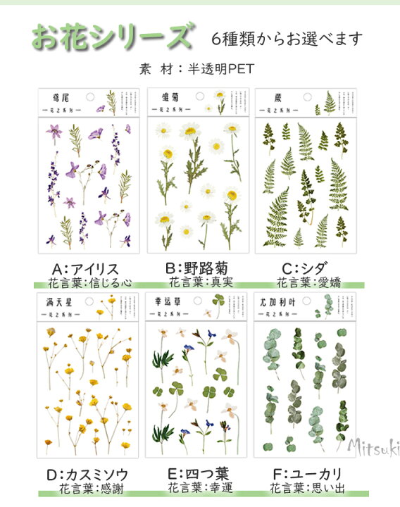 楽天市場 Part2 お花シリーズ 6種類 花シール フレークシール 手帳シール 花ステッカー レジン封入 手芸 レジンクラフト アクセサリー 封入素材 リアルな押し花スタイルステッカー アイリス 信じる心 野路菊 真実 シダ 愛嬌 カスミソウ 感謝 四つ葉 幸運 ユーカリ