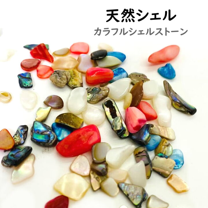 楽天市場】天然シェル カラフルストーン シェルストーン シェル 