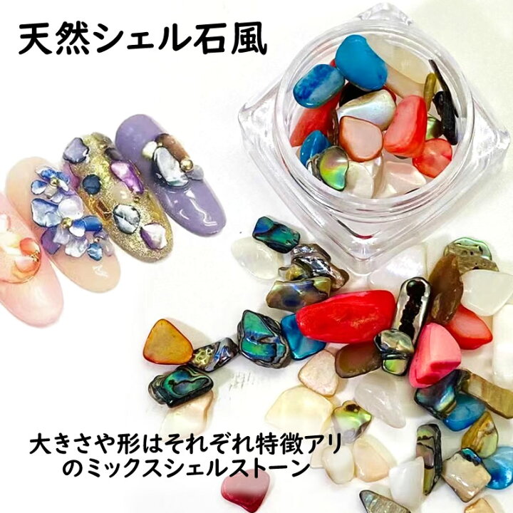 楽天市場】天然シェル カラフルストーン シェルストーン シェル 