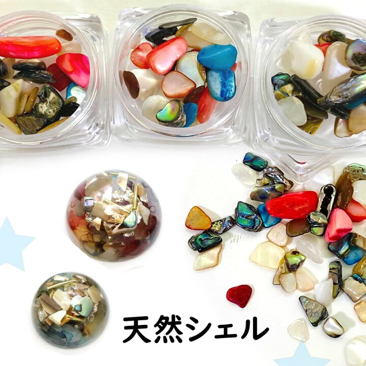 楽天市場】天然シェル カラフルストーン シェルストーン シェル 