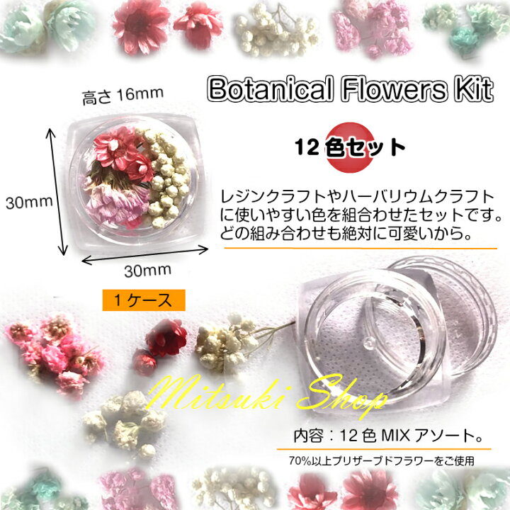 楽天市場 フラワーアソートセット12色セットプリザーブドフラワー レジン封入 封入素材 花素材 押し花 花材 レジン資材 封入 埋め込み レジンクラフト ナチュラル ドライフラワー 封入パーツ みつき ショップ