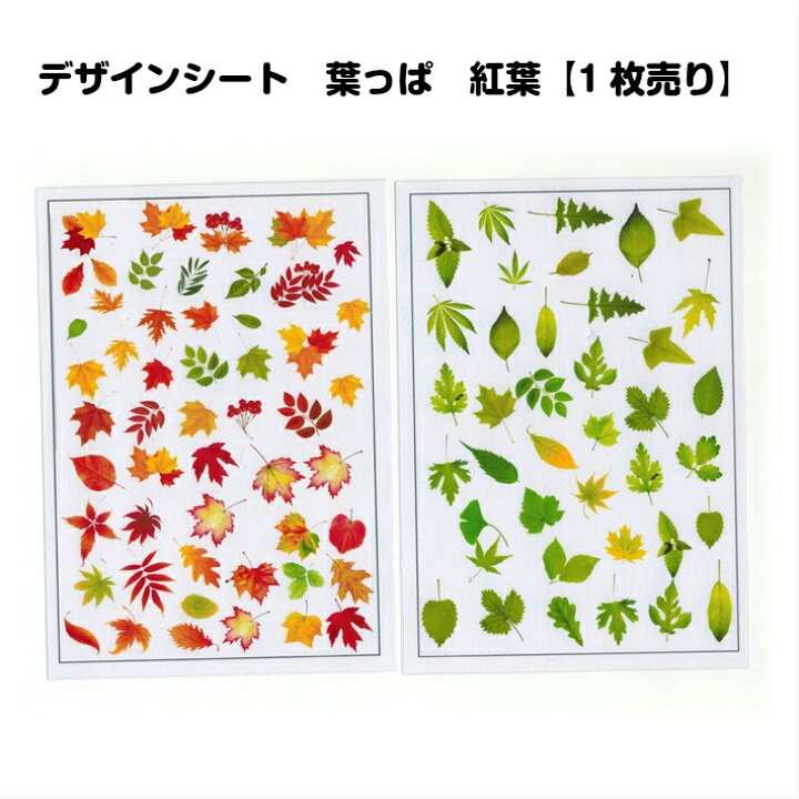 楽天市場 レジン封入 封入素材 デザインシート 葉っぱ 紅葉 デザインシート イラストシート フラワー カラーシート クリアーシート 葉っぱ 紅葉 もみじ 秋 春 秋 緑 ハンドメイド レジン素材 レジン みつき ショップ 楽天市場 レジン封入 封入素材 デザインシート 葉っぱ 紅葉 デザインシート イラストシート フラワー カラーシート クリアーシート 葉っぱ 紅葉 もみじ 秋 春 秋 緑 ハンドメイド レジン素材 レジン みつき ショップ
