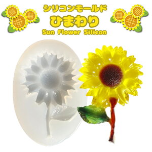 VR[h@Ђ܂y1z@@ԁ@Y@ā@R@W[h@DIY@lbNX@@X}zP[X@ ANZT[pi @킢