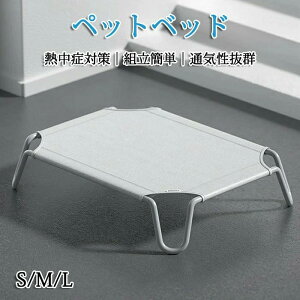 ybgxbh rt p Rbg ʋCQ Ȃ ʂǂ ybgpi Lvxbh  xbh nbN RpNg[ |[^u ^ xbh Lv ې􂢉\ 