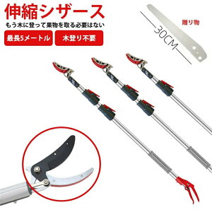 K[fjOVU[X K[fjO LkVU[X VU[Y ʕ ʕVU[Y @\ ߂ ҂ ؂ ω׏d4kg Lk Lk ̐n H L  E ʕ S  ؂ɓo 1.8-3.0m[