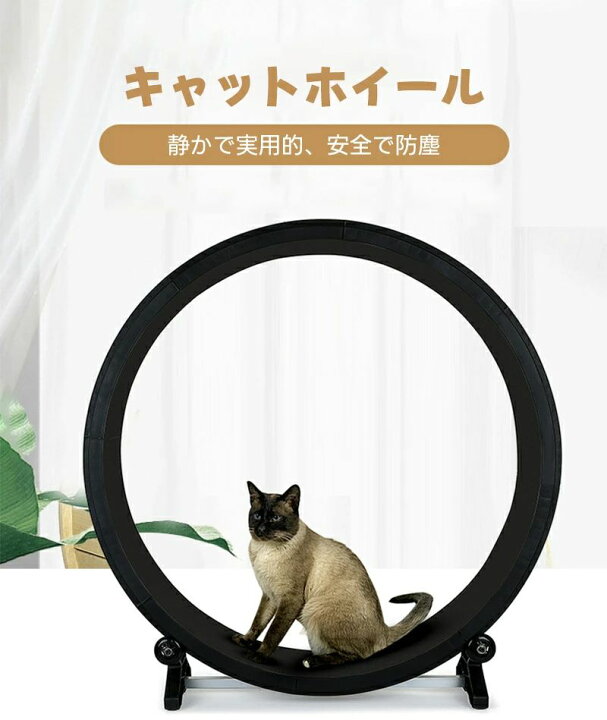 楽天市場】キャットホイール 回し車 省スペース 低騒音 キャットタワー 