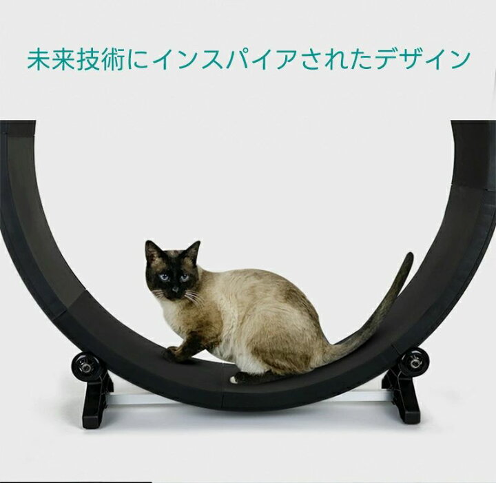 楽天市場】キャットホイール 回し車 省スペース 低騒音 キャットタワー 